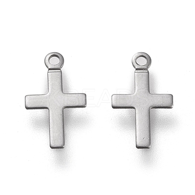 Non-Tarnish 304 Stainless Steel Charms LS-STAS-K195-15P-1