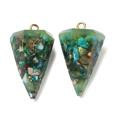 Transparent Resin Natural Imperial Jasper Chips Pendants G-E185-06G-1