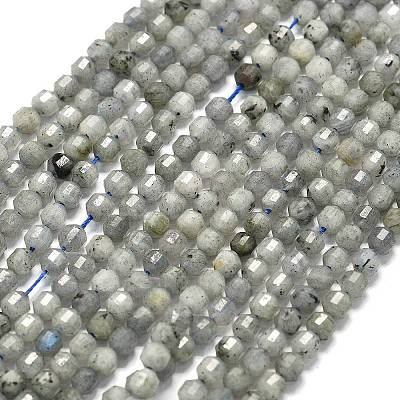 Natural Labradorite Beads Strands G-A260-A44-01B-1