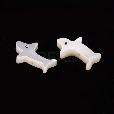 Natural Trochid Shell/Trochus Shell Beads SSHEL-T014-30-1