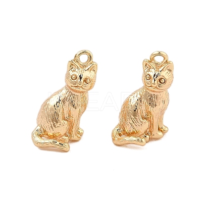 Brass Pendants KK-L223-022G-1