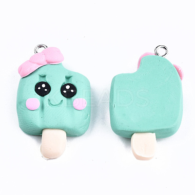 Handmade Polymer Clay Charms CLAY-T016-63-1