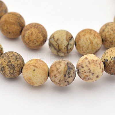 Natural Picture Jasper Beads Strands G-G735-16F-10mm-1