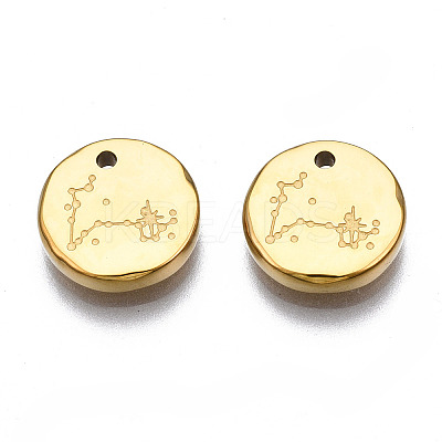 316 Surgical Stainless Steel Charms LS-STAS-S116-418L-G-1