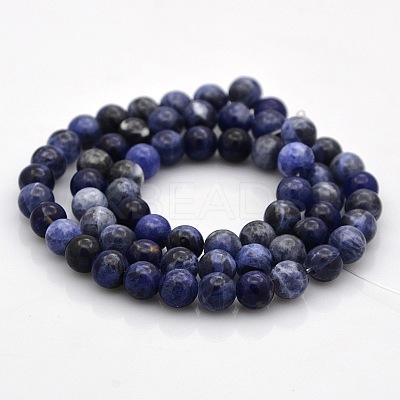 Natural Sodalite Round Beads Strands G-N0120-19-6mm-1