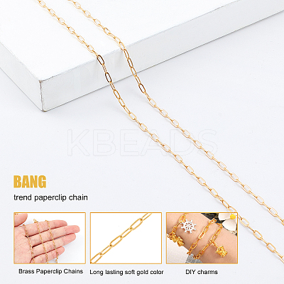 DIY Paperclip Chain Jewelry Making Kits DIY-SC0014-49G-1