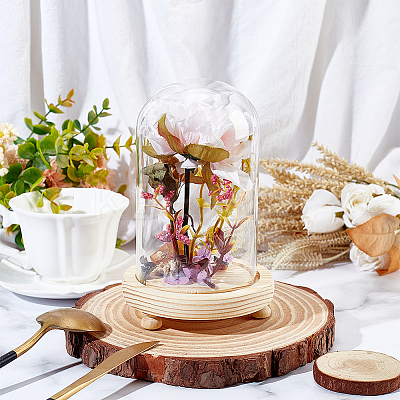 Glass Dome Cover AJEW-WH0312-39-1
