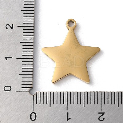 Ion Plating(IP) 304 Stainless Steel Pendants STAS-D025-04G-02-1