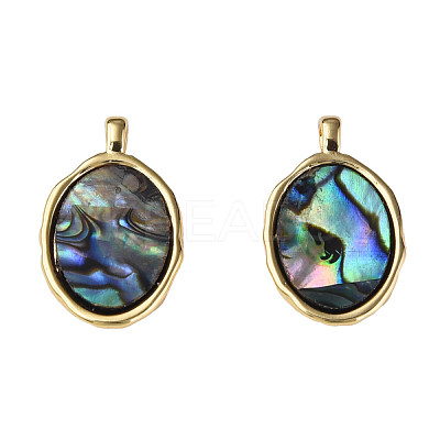 Synthetic Abalone Shell/Paua Shell Pendants KK-N233-254-1