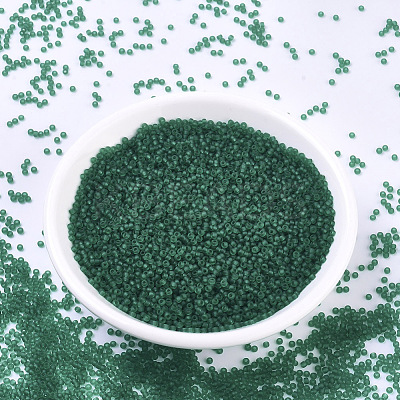 MIYUKI Round Rocailles Beads SEED-G007-RR0147F-1
