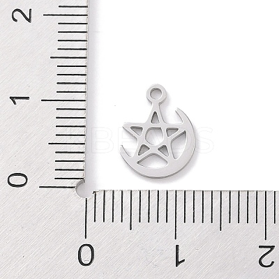 Non-Tarnish 304 Stainless Steel Charms STAS-K286-01F-P-1