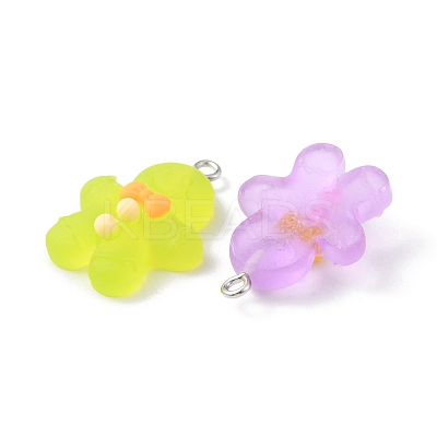 20Pcs 5 Colors Christmas Transparent Resin Pendants RESI-FS0001-41-1