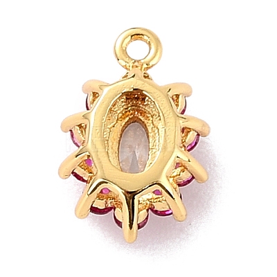 Eco-Friendly Brass Micro Pave Cubic Zirconia Charms ZIRC-C027-12G-RS-1