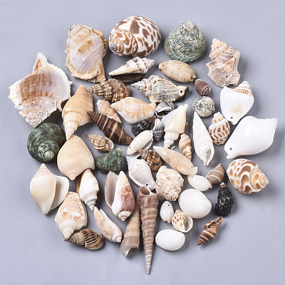 Natural Spiral Shell Pendants SSHEL-N035-02-1