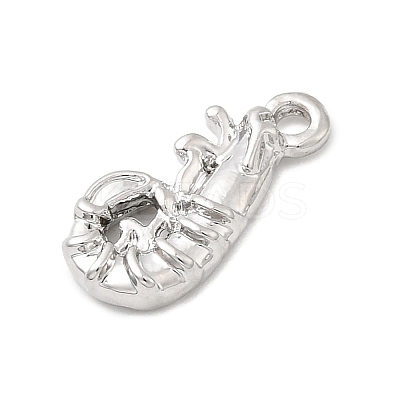 Alloy Pendantss FIND-I066-03P-1