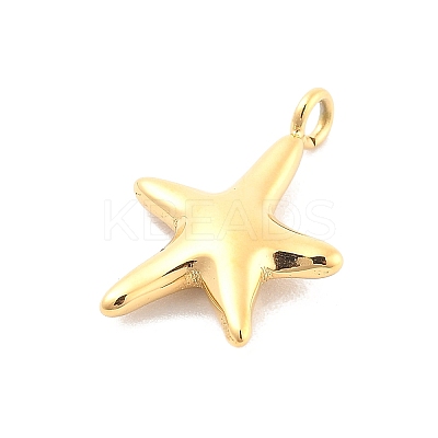 Ion Plating(IP) 304 Stainless Steel Pendants STAS-P379-15E-G-1