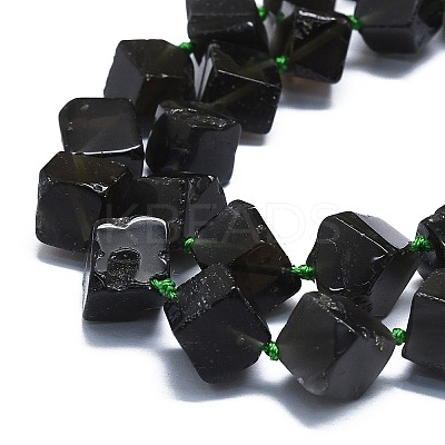 Natural Tektite Beads Strands G-K245-F06-03-1