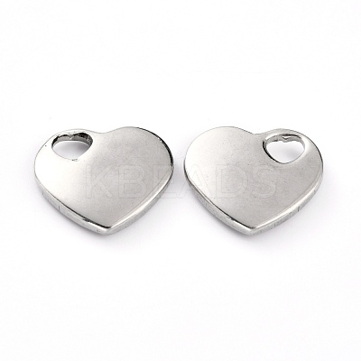Non-Tarnish 304 Stainless Steel Pendants STAS-B005-02P-1