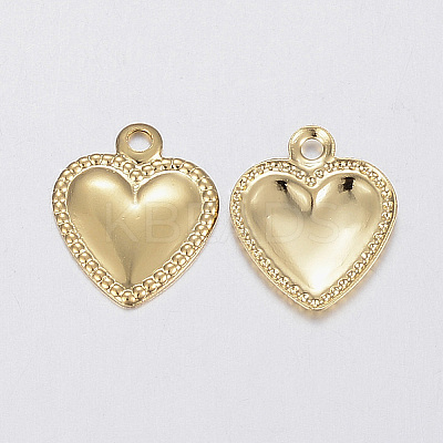 304 Stainless Steel Charms LS-X-STAS-F160-31G-1