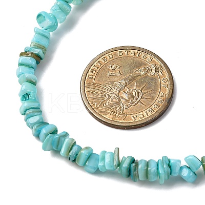 Dyed Natural Freshwater Shell Nuggets Beaded Necklaces NJEW-JN05488-02-1