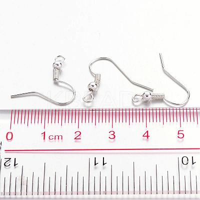 Iron Earring Hooks X-J07JW-S-1