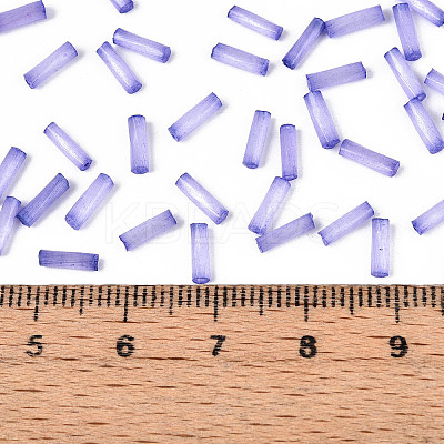 Glass Bugle Beads SEED-N007-28C-1