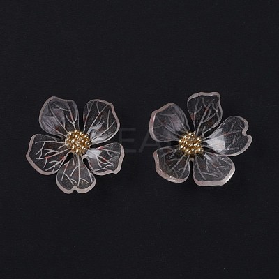 Transparent Resin Cabochons RESI-L035-19-1