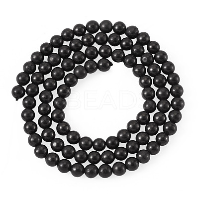 1 Strand Natural Shungite Beads Strands G-TA0003-34A-1