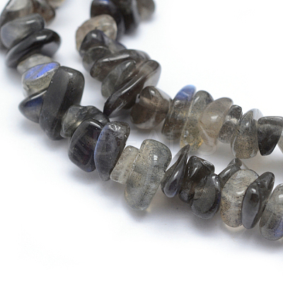 Natural Labradorite Beads Strands G-P332-54-1