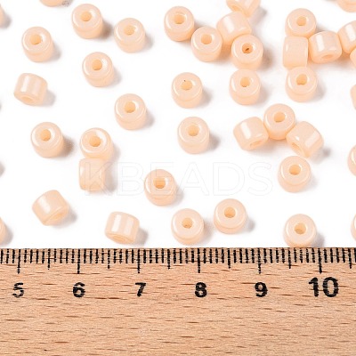 Opaque Baking Paint Glass Seed Beads X-SEED-T008-02C-1