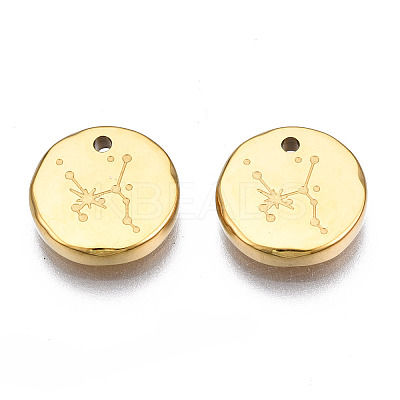 316 Surgical Stainless Steel Charms STAS-S116-418G-G-1