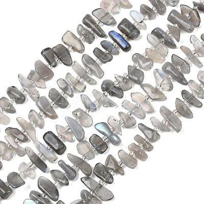 Natural Labradorite Beads Strands G-C273-B01-1