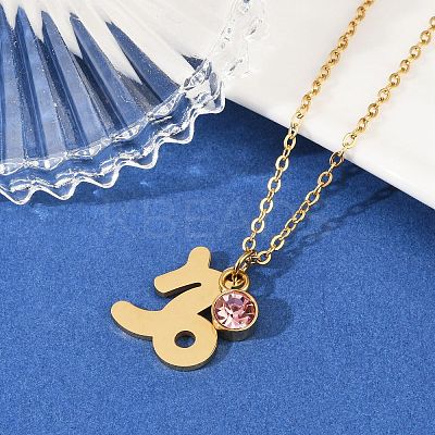 304 Stainless Steel Glass Drill Birth Stone Constellation Pendant Necklaces LS-STAS-D305-08G-J-1