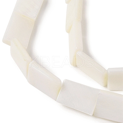 Natural Freshwater Shell Beads Strands BSHE-H018-03-1