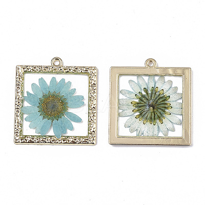 Epoxy Resin Pendants LS-X-RESI-T045-029D-1