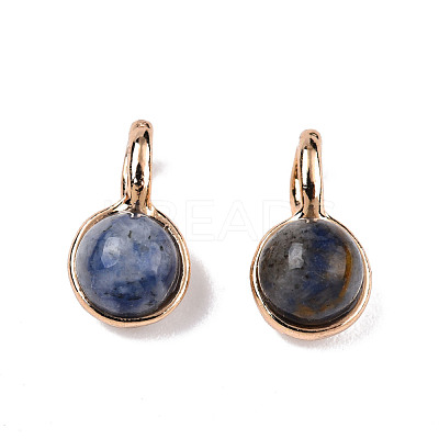 Natural Blue Spot Jasper Charms G-N326-141A-1