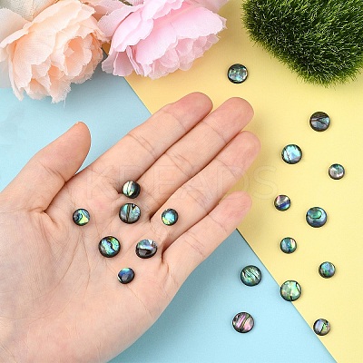 20Pcs 2 Styles Natural Paua Shell Cabochons SHEL-YW0001-09-1