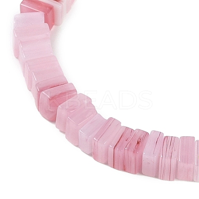 Handmade Lampwork Beads Strands LAMP-Q037-02B-03-1