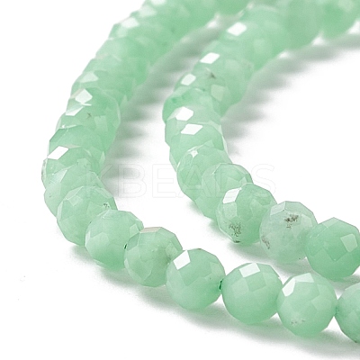 Natural Glass Beads Strands G-M390-04B-1