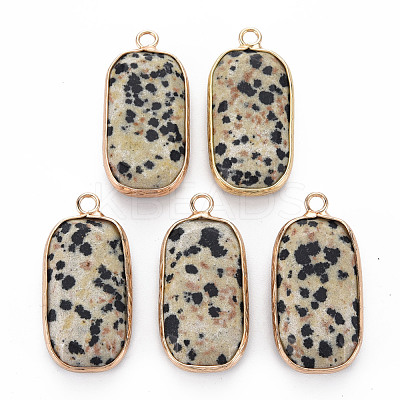 Natural Dalmatian Jasper Pendants G-S359-292C-1