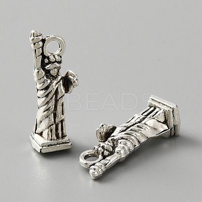 Tibetan Style Alloy Charm FIND-CJC0006-22AS-1