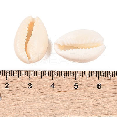 Natural Cowrie Shell Beads BSHE-Q296-1-1