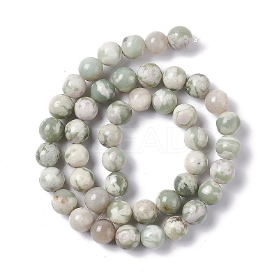 Natural Peace Jade Beads Strands G-G905-07-6MM-1