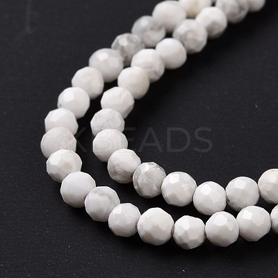 Natural Howlite Beads Strands G-H273-02A-1