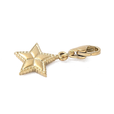 304 Stainless Steel Star Pendant Decoration STAS-S165-08G-1
