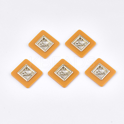 Opaque Acrylic Pendants MACR-T031-05-M-1