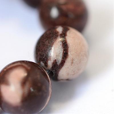 Natural Zebra Jasper Round Bead Strands G-E334-6mm-12-1