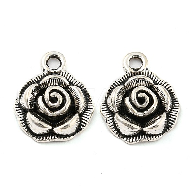 Alloy Pendants X-FIND-G065-14AS-1