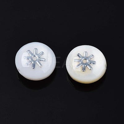Natural Freshwater Shell Beads SHEL-N003-22-10P-1