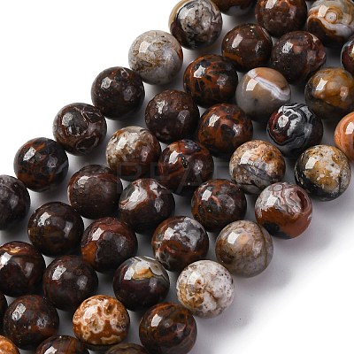 Natural Mexico Crazy Agate Beads Strands G-L615-A01-03-1